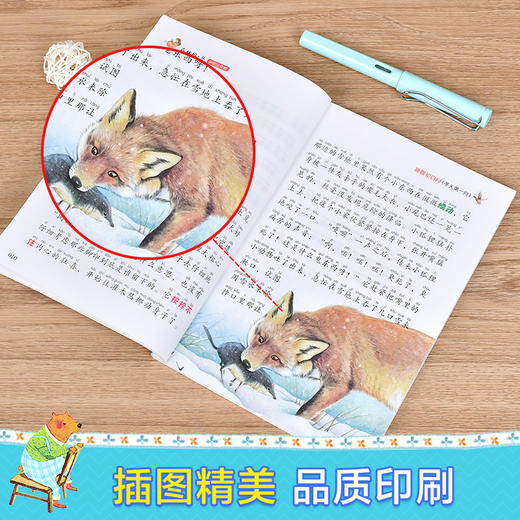 【6-9岁】《森林报（彩图注音版）》（共4册） 商品图4