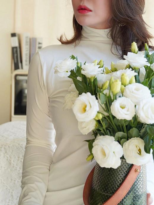 【89.9选2】利蜂LOUIS ROYER半高领抗菌肌底衣 均码 商品图4