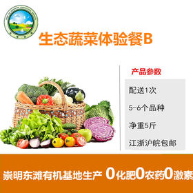 【东滩绿港】崇明有机蔬菜小箱B套餐