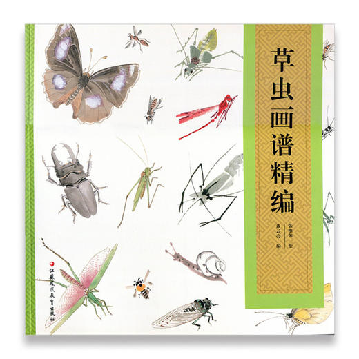 美术技法经典系列·草虫画谱精编 戴云亮  著  张继馨  绘 商品图0
