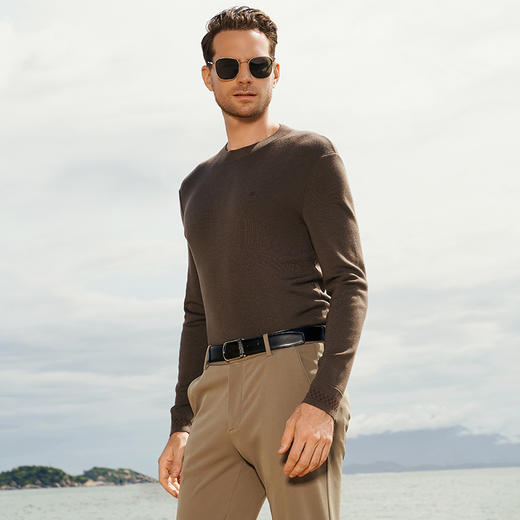 YvesFigarau伊夫·费嘉罗秋冬新款100%绵羊毛休闲长袖毛衫941107 商品图1