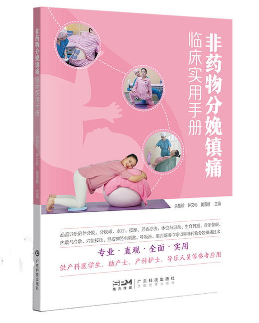 分娩镇痛临床实用手册 商品图0