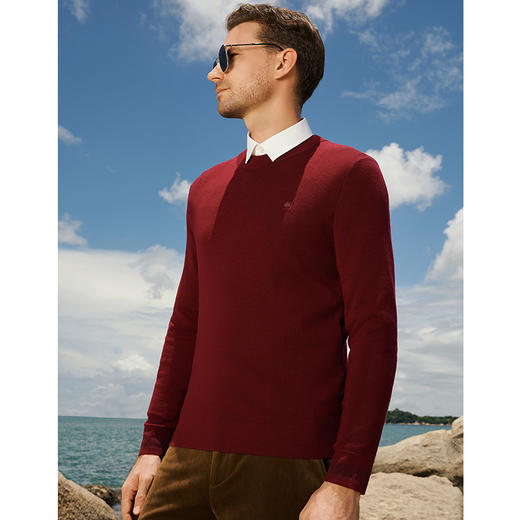 YvesFigarau伊夫·费嘉罗秋冬新款100%绵羊毛休闲长袖毛衫941111 商品图3