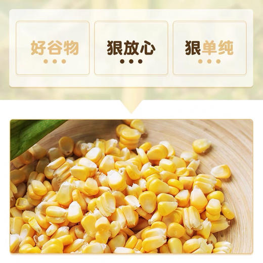 韩国进口post代餐玉米片300g 即食早餐非油炸营养低脂麦片免煮健身代餐食品 商品图3