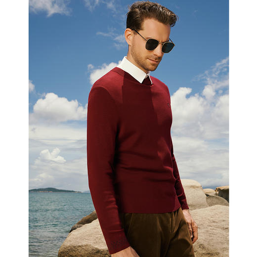 YvesFigarau伊夫·费嘉罗秋冬新款100%绵羊毛休闲长袖毛衫941111 商品图1