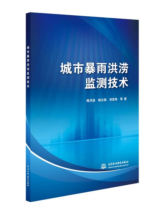 城市暴雨洪涝监测技术 商品图0