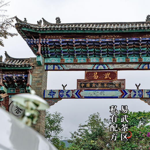 【古寨春秘境入门版】古寨春标杆入门系列，为普洱证明，为店铺证明拍5发6拍20发25 357g/饼 商品图4