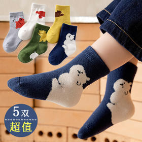 5双特惠装儿童袜子秋冬纯中筒棉男卡通棉袜冬季童袜女童宝宝袜子春秋