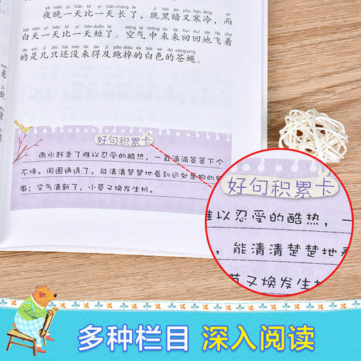 【6-9岁】《森林报（彩图注音版）》（共4册） 商品图3