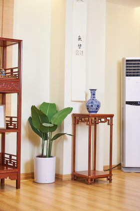 红桥红  家具严选  缅甸花梨（大果紫檀）【85/90  木面 颐和园圆腿 花架】