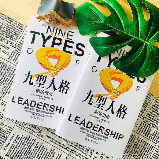 九型人格 职场指南 比特丽丝·切斯纳特 著 心理学 商品图2
