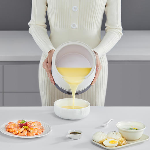 德国蓝宝电炖锅燕窝炖盅煲汤煮粥神器家用隔水电炖盅 商品图6