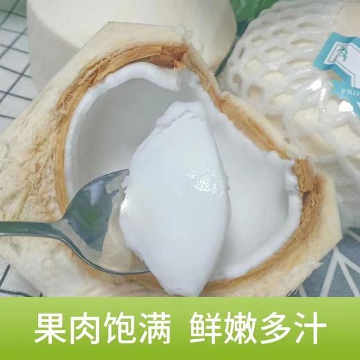 泰国香水椰青9个装（单果约900g） 商品图2