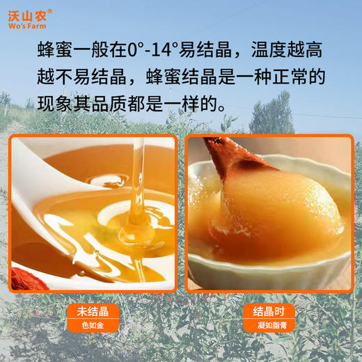 沃山农高原枸杞花蜂蜜500g/瓶 商品图2