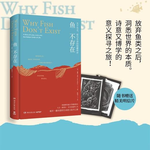 鱼不存在 露露·米勒 著 文学 商品图1