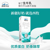 【线下专用】西牧天山新疆纯奶整箱全脂牛奶盒装学生儿童营养早餐奶200ml*12盒 商品缩略图2