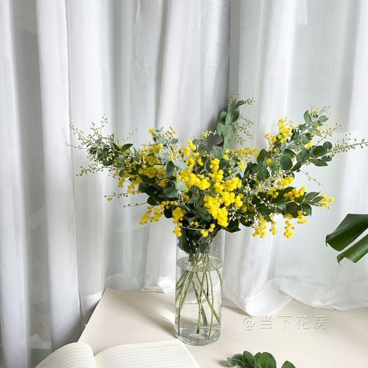 【合金欢.轻奢】1扎约3-4支/份  毛毛茸茸的很是可爱 可做干花保存 花语及时享乐 商品图11