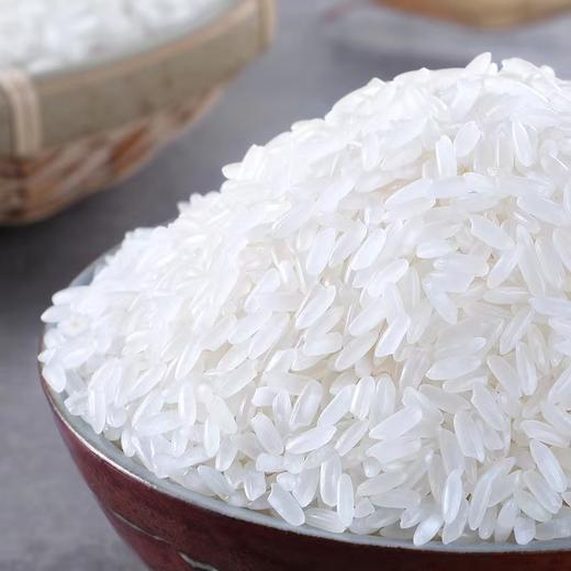 团购丨赞字村·五常大米（龙凤产区）丨家庭装米砖10斤（米砖10斤*1）丨下单次日发货 商品图1