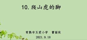 《爬山虎的脚》