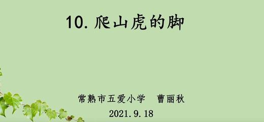 《爬山虎的脚》 商品图0