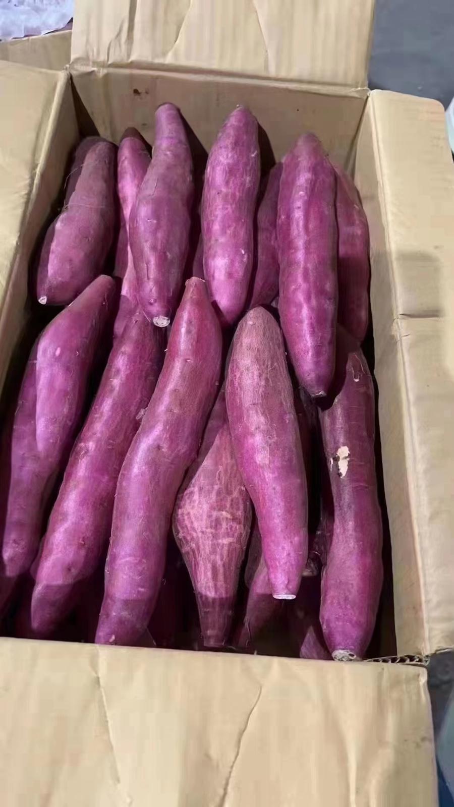 【全国包邮】日本地瓜~鲜艳的外观让人很有食欲,像栗一样吃起来口感