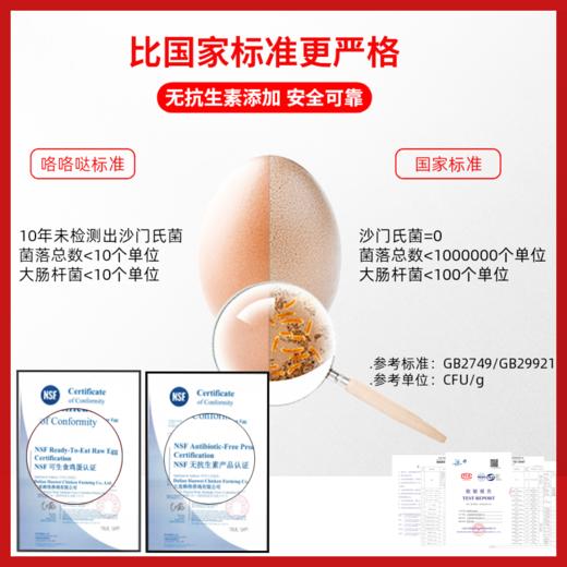 咯咯哒醇香金鸡蛋20枚礼盒装叶黄素Omega-3多不饱和脂肪酸可生食无菌无抗 商品图1