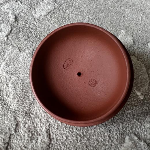 紫砂壶 家用茶具办公室茶具茶壶 送礼好物 商品图2