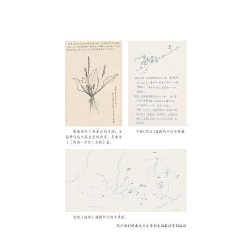 《诗经》探索(精)/刘操南全集/浙江大学出版社/刘操南/责编:韦丽娟 商品图4