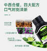【第二瓶半价】【罗伊氏乳杆菌汉麻籽油凝胶糖果/LOER爆珠 40颗/瓶】口咽食道HP清道夫 商品缩略图0
