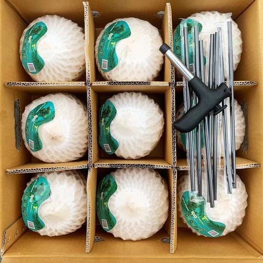 泰国香水椰青9个装（单果约900g） 商品图1