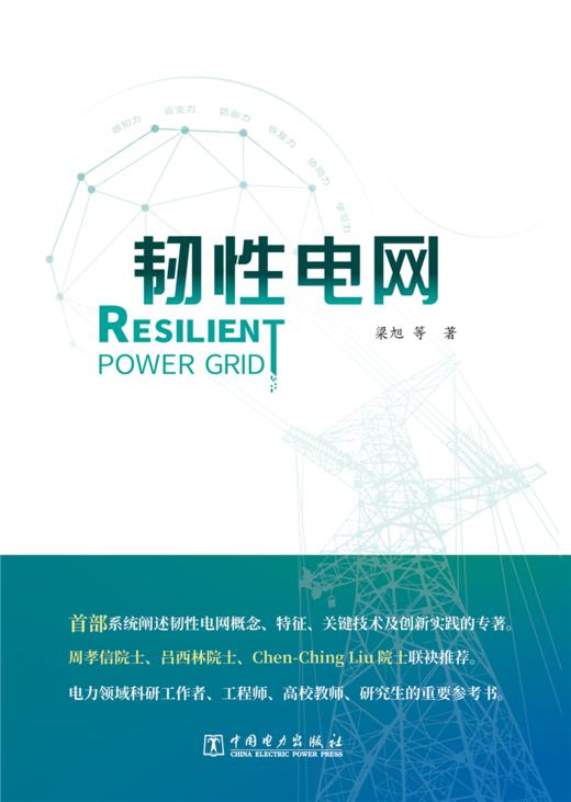 韧性电网 商品图1