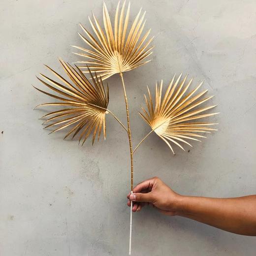 【年宵花】金叶子金色花材系列（上新木绣球） 商品图6