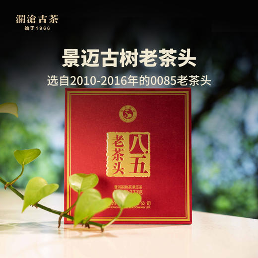 【会员专属礼包】澜沧古茶深秋煮一壶老茶头，真美八五老茶头礼包 商品图4