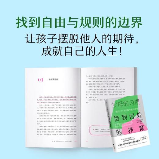 父母的习惯:恰到好处的养育智慧型父母的80个习惯养出内驱力强大的孩子多湖辉焦虑父母的养育术家教经典 商品图2