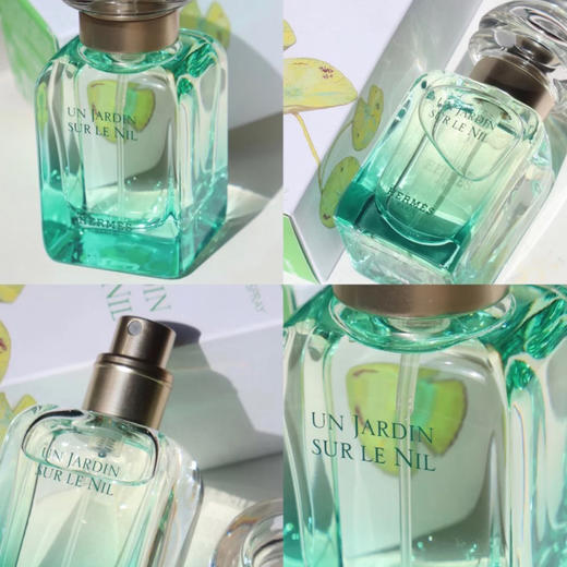 价值555  Hermes爱马仕尼罗河花园淡香水30ml 商品图1