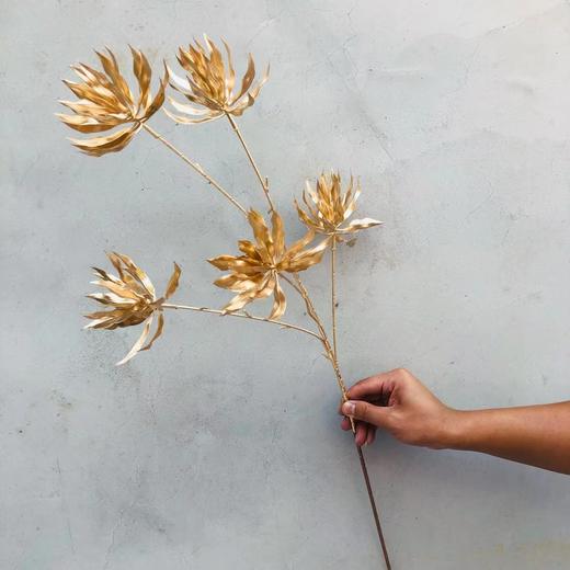 【年宵花】金叶子金色花材系列（上新木绣球） 商品图5