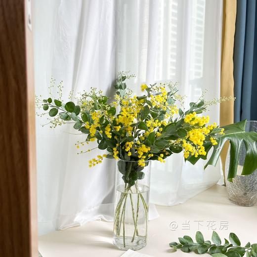 【合金欢.轻奢】1扎约3-4支/份  毛毛茸茸的很是可爱 可做干花保存 花语及时享乐 商品图10