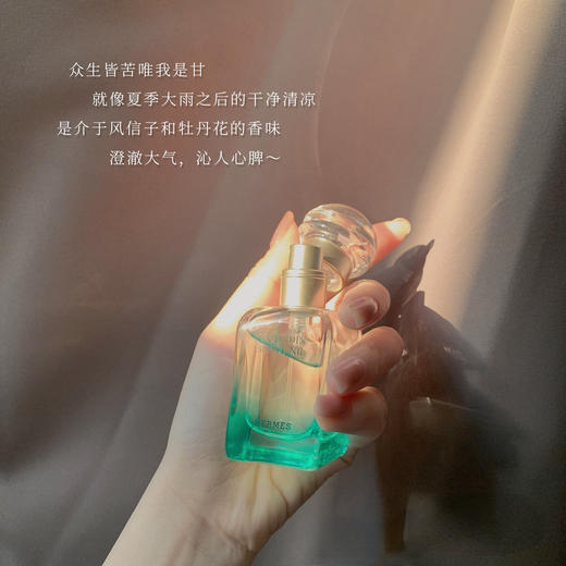价值555  Hermes爱马仕尼罗河花园淡香水30ml 商品图4