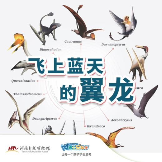 【河南自博-研学】飞向蓝天的翼龙 商品图0