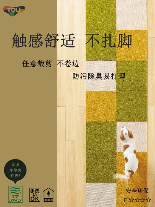 TOLI东理家用自粘拼接地毯客厅满铺书房隔音地毯防滑宠物地垫卧室 商品图0