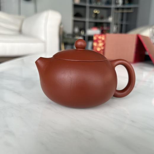 紫砂壶 家用茶具办公室茶具茶壶 送礼好物 商品图0