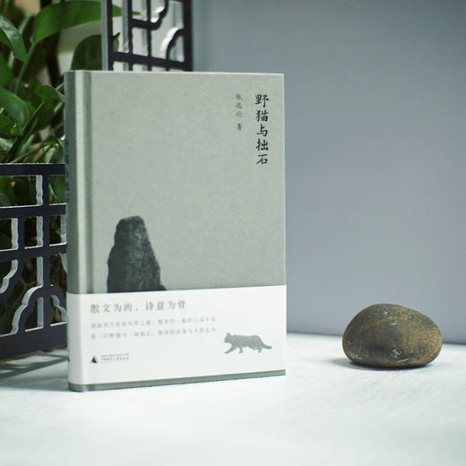 【“云端书展”专区】野猫与拙石     张远伦/著   买一得三 商品图1