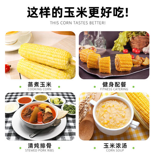 昔日印象新鲜白糯玉米即食黏粘甜糯玉米肥真空包装减代餐 商品图5