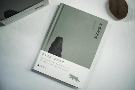 【“云端书展”专区】野猫与拙石     张远伦/著   买一得三 商品图2