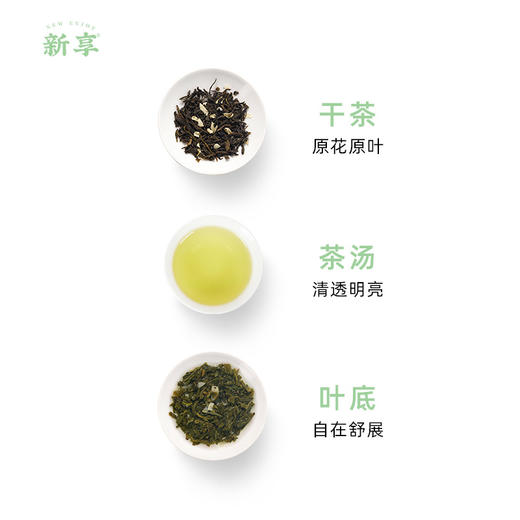 文新新享每日茶（茉莉花茶） 商品图2