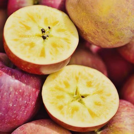 周四取货：【大凉山丑苹果】一份4斤左右，超甜超水，无渣，超级好吃！！！ 商品图1