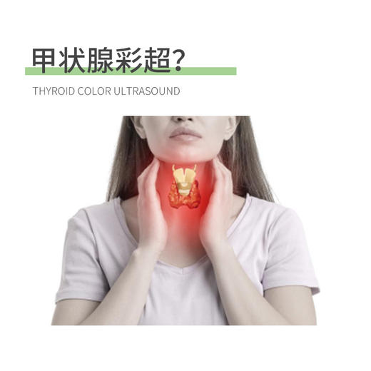彩超检查三选一（腹部、甲状腺、泌尿系）（武夷山分院） 商品图2