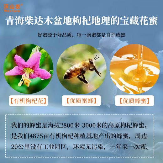 沃山农高原枸杞花蜂蜜500g/瓶 商品图4