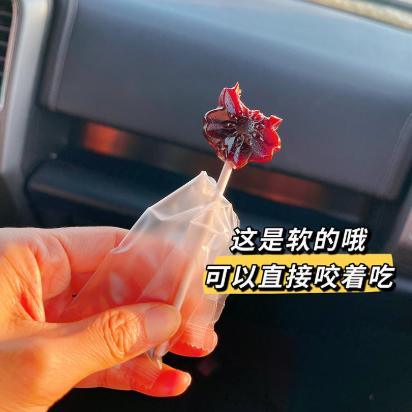 「百年古树梨膏棒棒糖」30支！ 莱阳梨熬制   15根/袋*2袋  好吃不上火 清润不甜腻 老少皆宜 商品图10