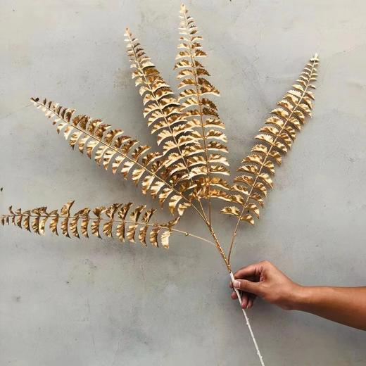 【年宵花】金叶子金色花材系列（上新木绣球） 商品图8